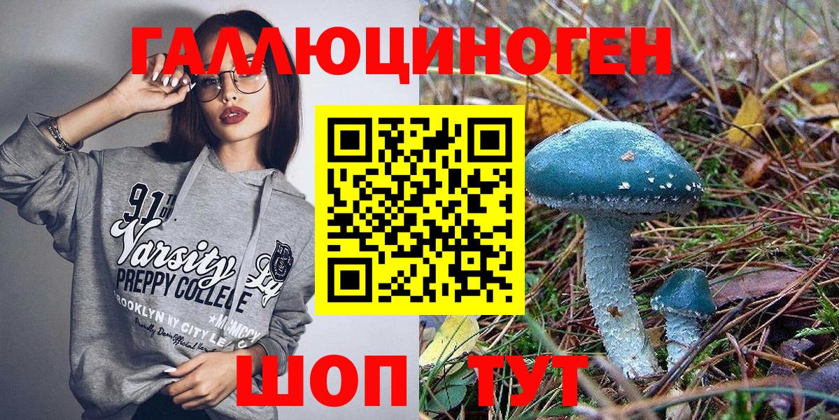 Псилоцибиновые грибы Psilocybe Юрга